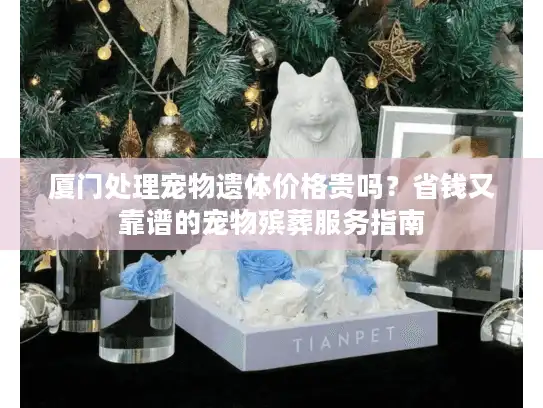 厦门处理宠物遗体价格贵吗？省钱又靠谱的宠物殡葬服务指南