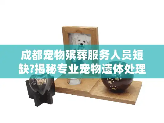 成都宠物殡葬服务人员短缺?揭秘专业宠物遗体处理师招聘真相