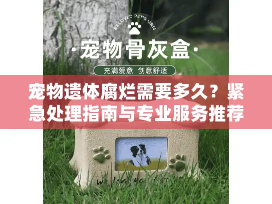 宠物遗体腐烂需要多久？紧急处理指南与专业服务推荐
