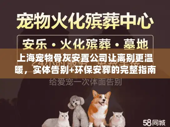 上海宠物骨灰安置公司让离别更温暖，实体告别+环保安葬的完整指南