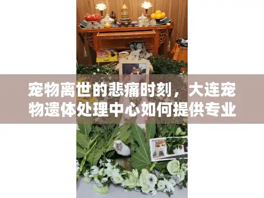 宠物离世的悲痛时刻，大连宠物遗体处理中心如何提供专业服务？