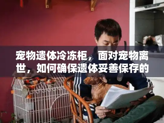 宠物遗体冷冻柜，面对宠物离世，如何确保遗体妥善保存的实用指南？