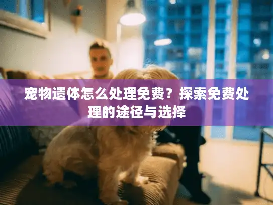 宠物遗体怎么处理免费？探索免费处理的途径与选择