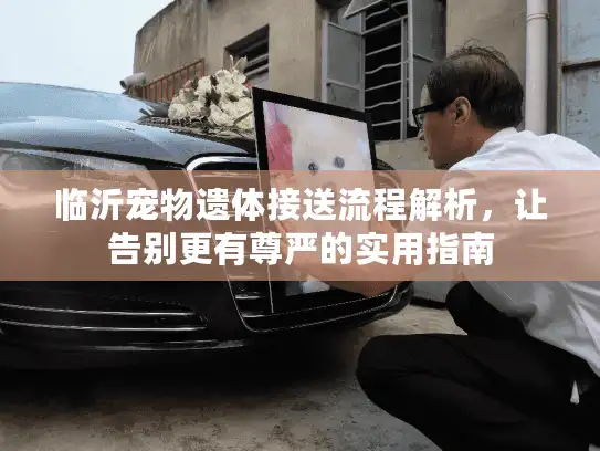临沂宠物遗体接送流程解析，让告别更有尊严的实用指南