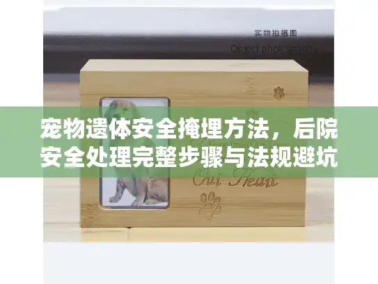 宠物遗体安全掩埋方法，后院安全处理完整步骤与法规避坑指南