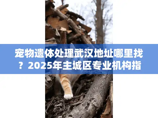 宠物遗体处理武汉地址哪里找？2025年主城区专业机构指南