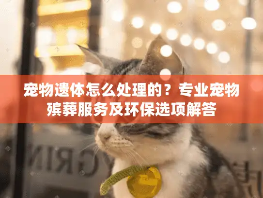 宠物遗体怎么处理的？专业宠物殡葬服务及环保选项解答