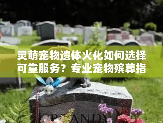 灵萌宠物遗体火化如何选择可靠服务？专业宠物殡葬指南解析