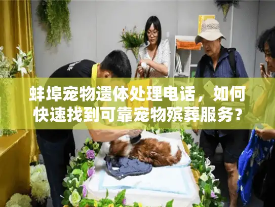 蚌埠宠物遗体处理电话，如何快速找到可靠宠物殡葬服务？