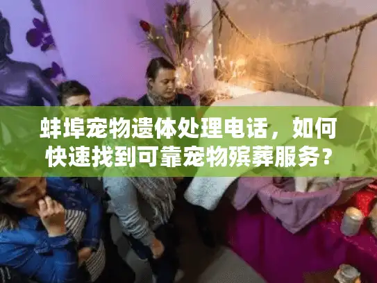 蚌埠宠物遗体处理电话，如何快速找到可靠宠物殡葬服务？