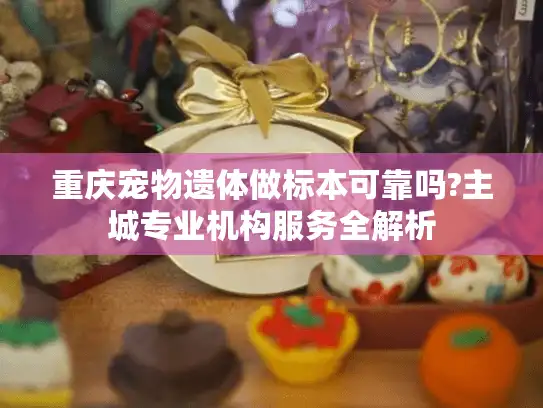 重庆宠物遗体做标本可靠吗?主城专业机构服务全解析