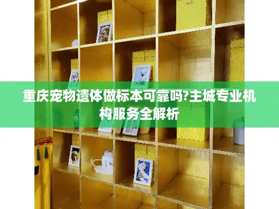 重庆宠物遗体做标本可靠吗?主城专业机构服务全解析
