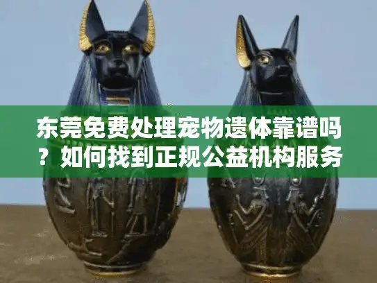 东莞免费处理宠物遗体靠谱吗？如何找到正规公益机构服务？