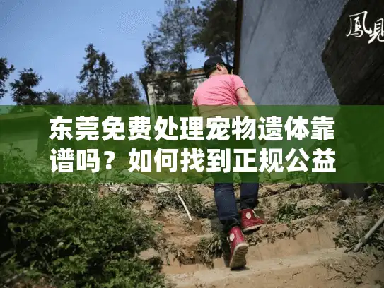 东莞免费处理宠物遗体靠谱吗？如何找到正规公益机构服务？