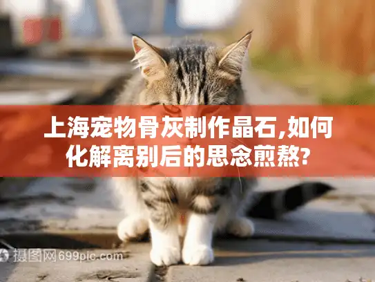 上海宠物骨灰制作晶石,如何化解离别后的思念煎熬?