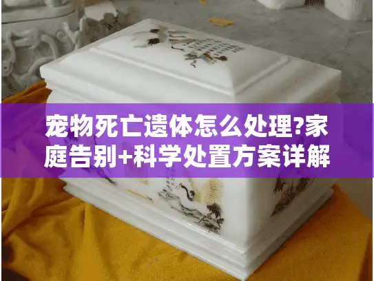 宠物死亡遗体怎么处理?家庭告别+科学处置方案详解