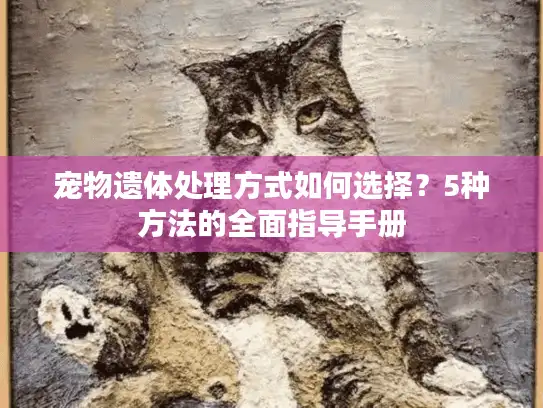 宠物遗体处理方式如何选择？5种方法的全面指导手册