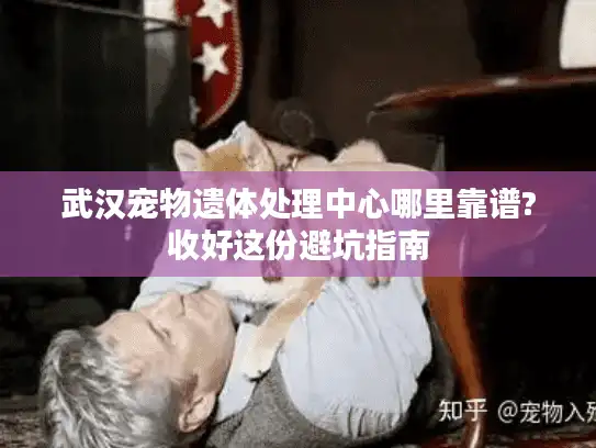 武汉宠物遗体处理中心哪里靠谱?收好这份避坑指南