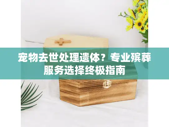 宠物去世处理遗体？专业殡葬服务选择终极指南