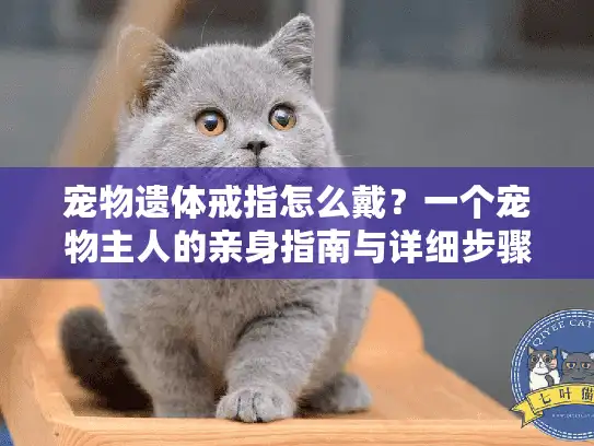 宠物遗体戒指怎么戴？一个宠物主人的亲身指南与详细步骤