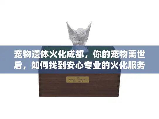 宠物遗体火化成都，你的宠物离世后，如何找到安心专业的火化服务？