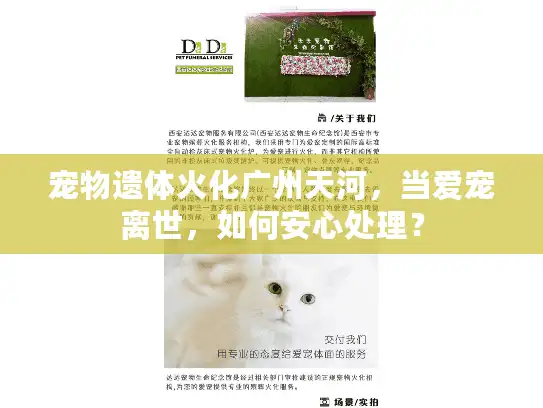 宠物遗体火化广州天河，当爱宠离世，如何安心处理？