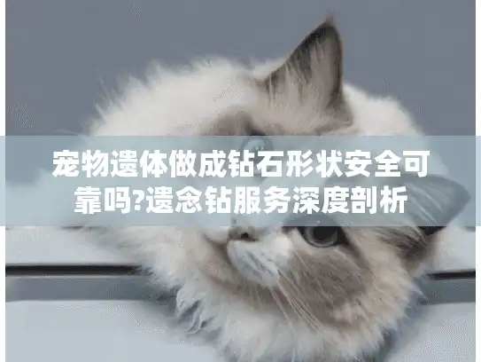 宠物遗体做成钻石形状安全可靠吗?遗念钻服务深度剖析