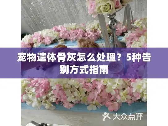 宠物遗体骨灰怎么处理？5种告别方式指南