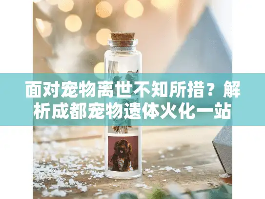 面对宠物离世不知所措？解析成都宠物遗体火化一站式服务流程