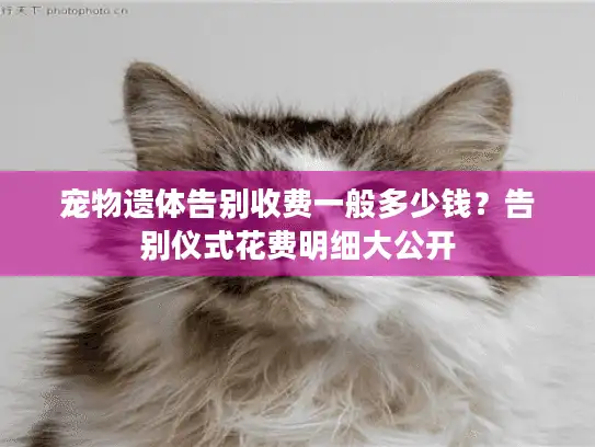 宠物遗体告别收费一般多少钱？告别仪式花费明细大公开