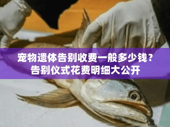 宠物遗体告别收费一般多少钱？告别仪式花费明细大公开