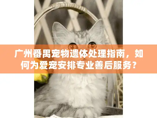 广州番禺宠物遗体处理指南，如何为爱宠安排专业善后服务？