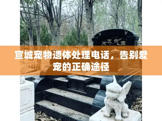 宣城宠物遗体处理电话，告别爱宠的正确途径