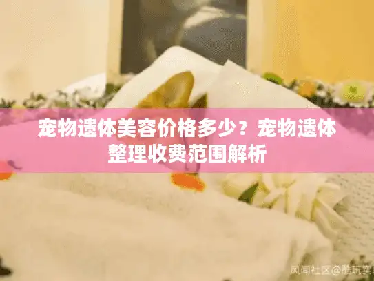 宠物遗体美容价格多少？宠物遗体整理收费范围解析