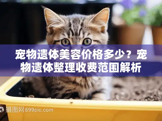 宠物遗体美容价格多少？宠物遗体整理收费范围解析