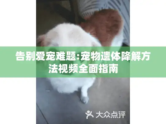 告别爱宠难题:宠物遗体降解方法视频全面指南