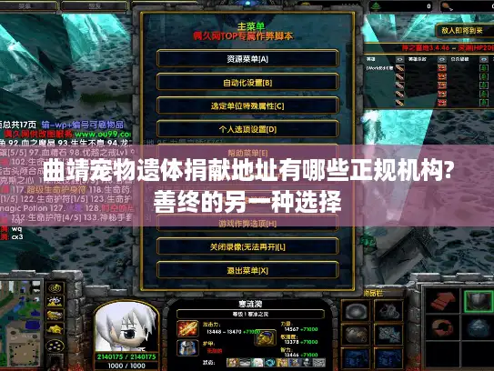 曲靖宠物遗体捐献地址有哪些正规机构?善终的另一种选择