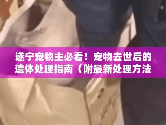遂宁宠物主必看！宠物去世后的遗体处理指南（附最新处理方法）