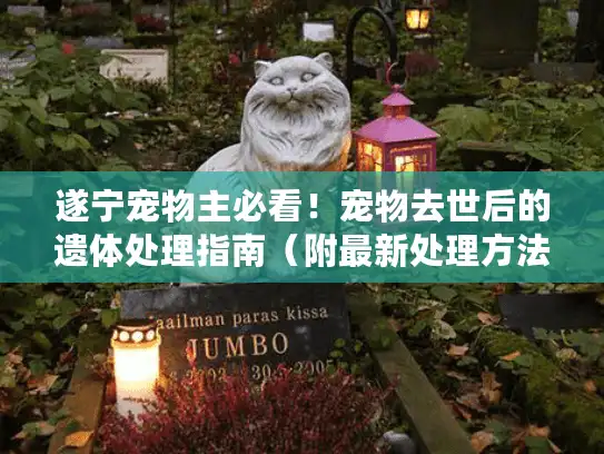 遂宁宠物主必看！宠物去世后的遗体处理指南（附最新处理方法）