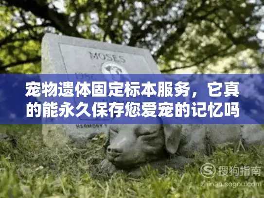宠物遗体固定标本服务，它真的能永久保存您爱宠的记忆吗？