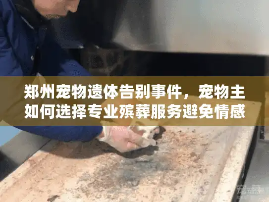 郑州宠物遗体告别事件，宠物主如何选择专业殡葬服务避免情感伤害
