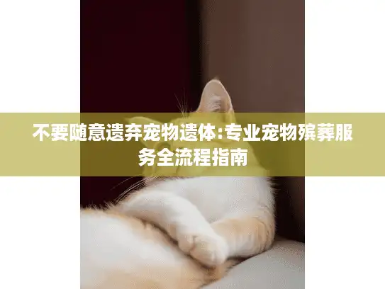 不要随意遗弃宠物遗体:专业宠物殡葬服务全流程指南
