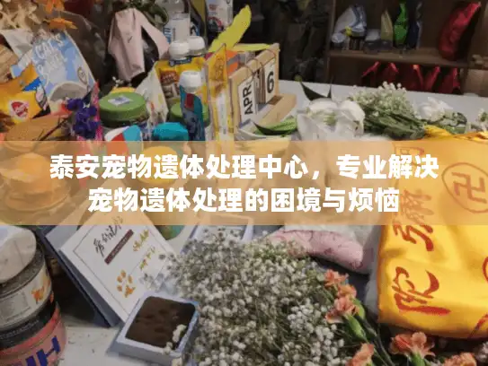 泰安宠物遗体处理中心，专业解决宠物遗体处理的困境与烦恼