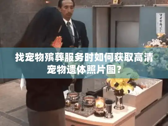 找宠物殡葬服务时如何获取高清宠物遗体照片图？