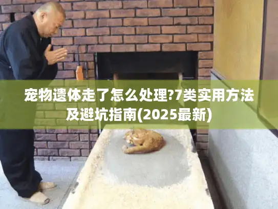 宠物遗体走了怎么处理?7类实用方法及避坑指南(2025最新)