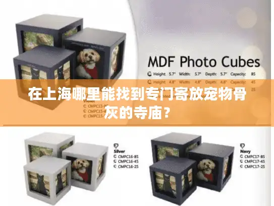 在上海哪里能找到专门寄放宠物骨灰的寺庙？