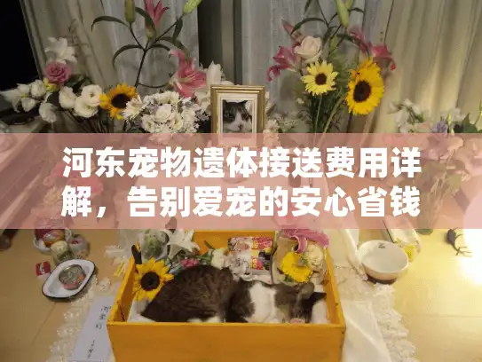 河东宠物遗体接送费用详解，告别爱宠的安心省钱指南