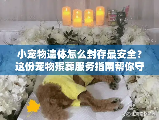 小宠物遗体怎么封存最安全？这份宠物殡葬服务指南帮你守护最后告别