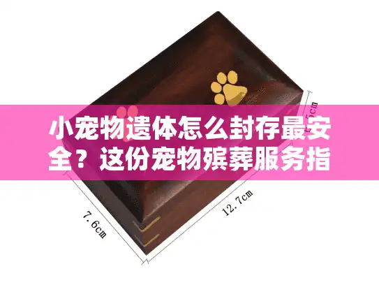 小宠物遗体怎么封存最安全？这份宠物殡葬服务指南帮你守护最后告别