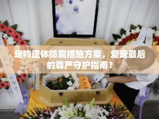 宠物遗体防腐措施方案，爱宠最后的尊严守护指南？